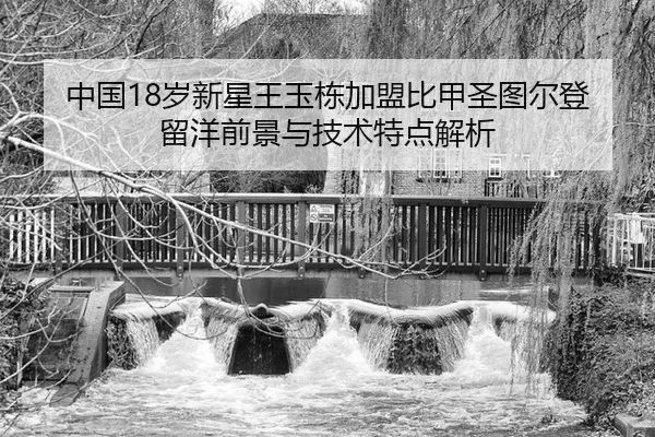 zhong-guo-sui-xin-xing-wang-yu-dong-jia-meng-bi-jia-sheng-tu-er-deng-liu-yang-qian-jing-yu-ji-shu-te-dian-jie-xi-2-975.jpg